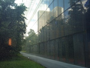BNF - le jardin